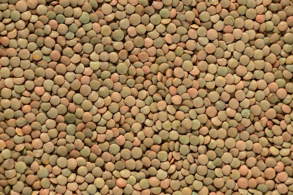 A detailed close-up of assorted lentils creating a textured pattern. Ideal for backgrounds and food themes.