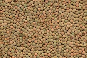 A detailed close-up of assorted lentils creating a textured pattern. Ideal for backgrounds and food themes.
