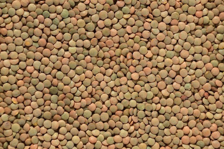 A detailed close-up of assorted lentils creating a textured pattern. Ideal for backgrounds and food themes.