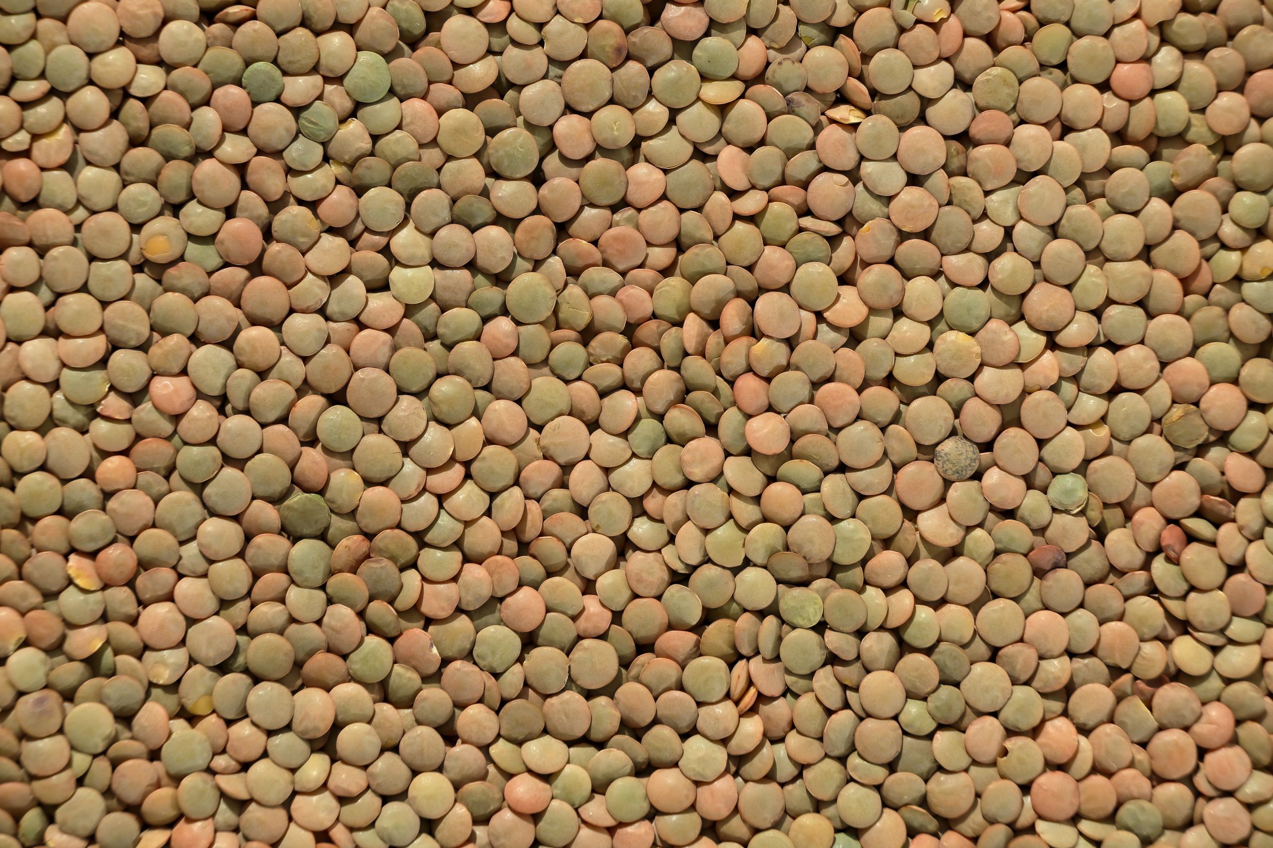 A detailed close-up of assorted lentils creating a textured pattern. Ideal for backgrounds and food themes.