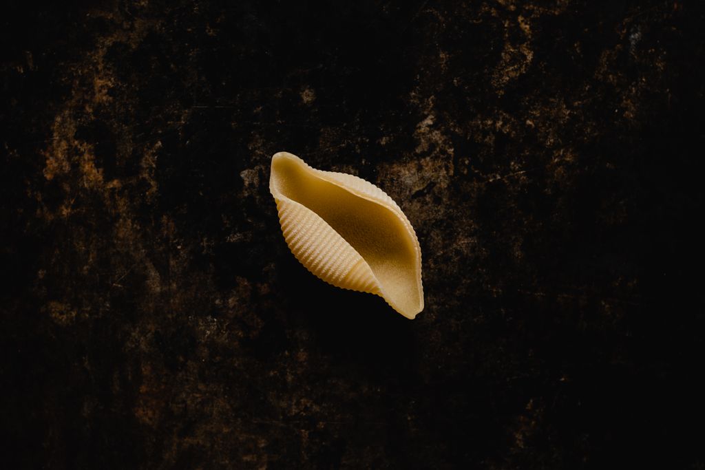 A lone conchiglie pasta shell resting on a textured black surface, top view.