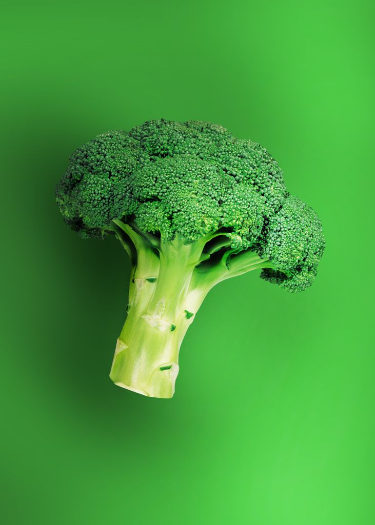 A single fresh broccoli head on a vibrant green background, symbolizing healthy eating.