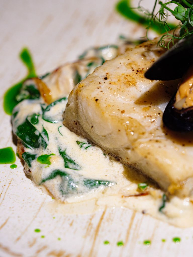 Close-up of a gourmet fish dish with creamy spinach, mussels, and garnish, perfect for dining visuals.