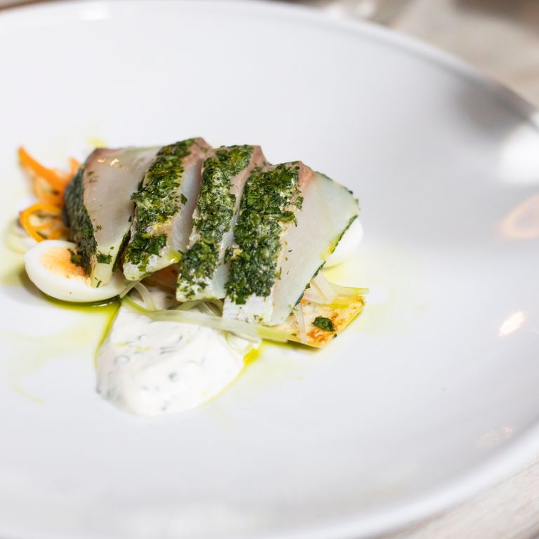 From above of delicious meat jelly covered with herbs served on white plate with boiled egg vegetables and sauce