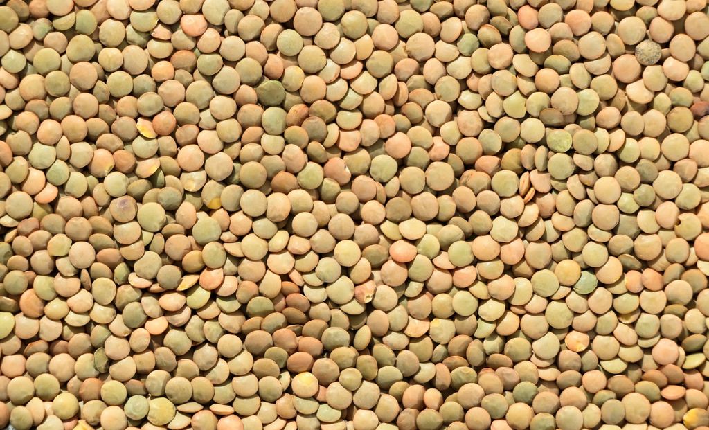 High-resolution image showing a textured background of green lentils in detail.