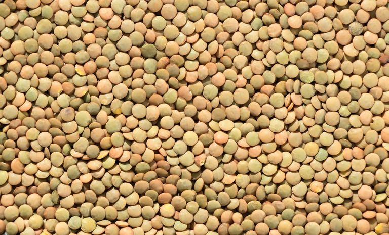 High-resolution image showing a textured background of green lentils in detail.