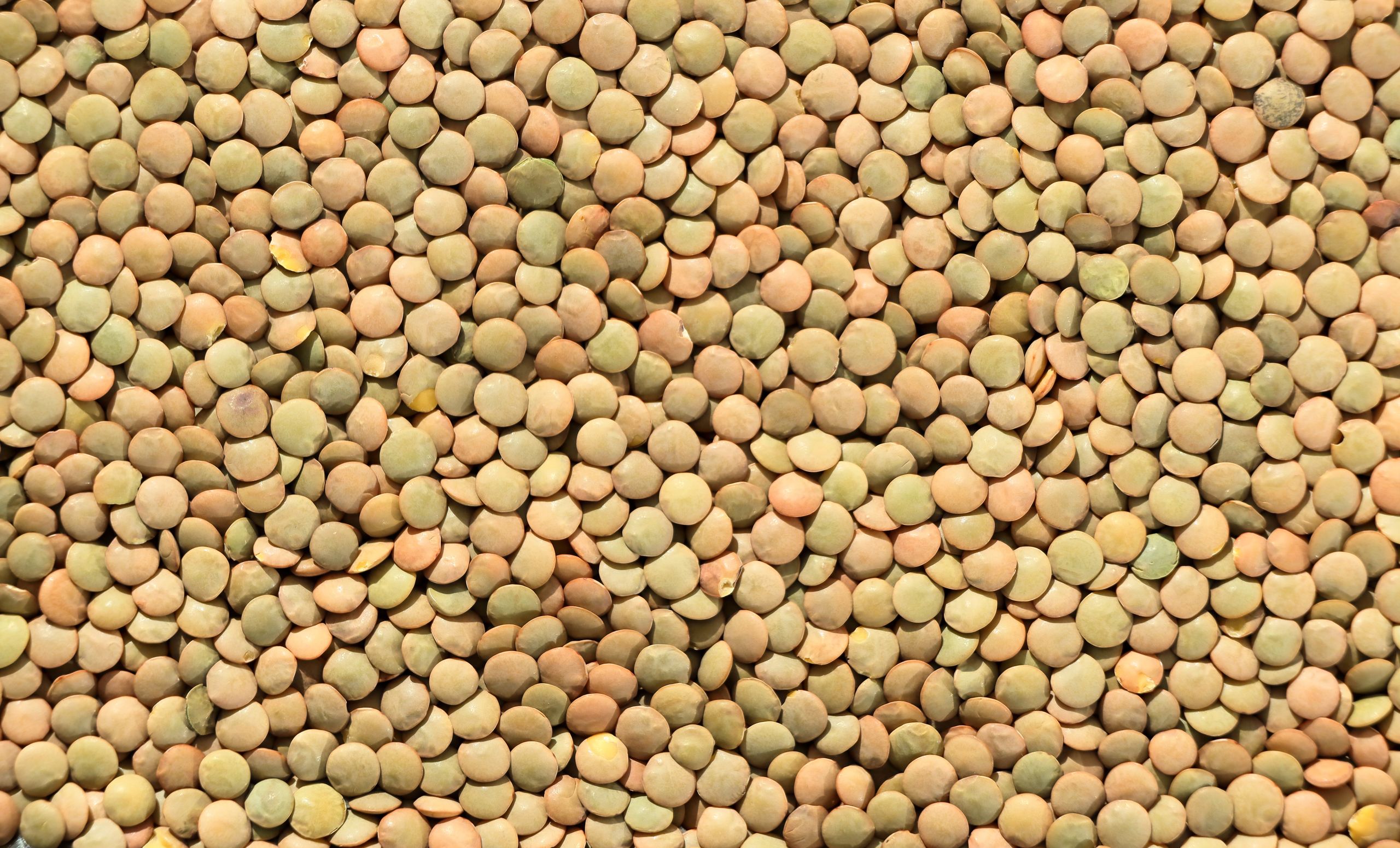 High-resolution image showing a textured background of green lentils in detail.