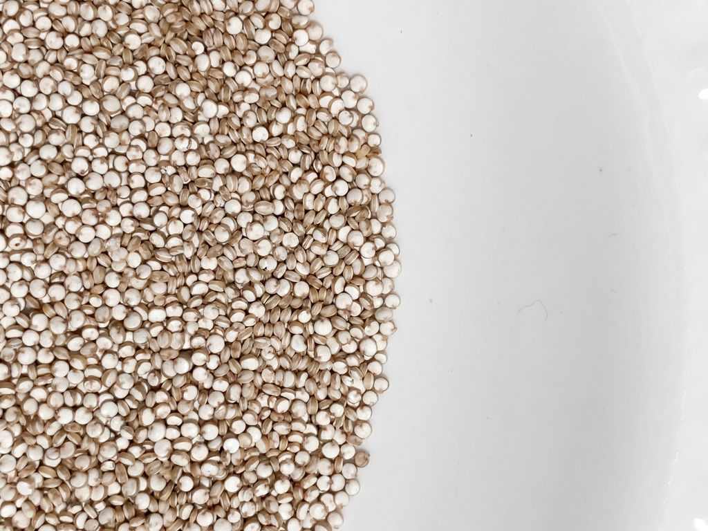 Top view of pile of brown seeds placed together in clean white bowl