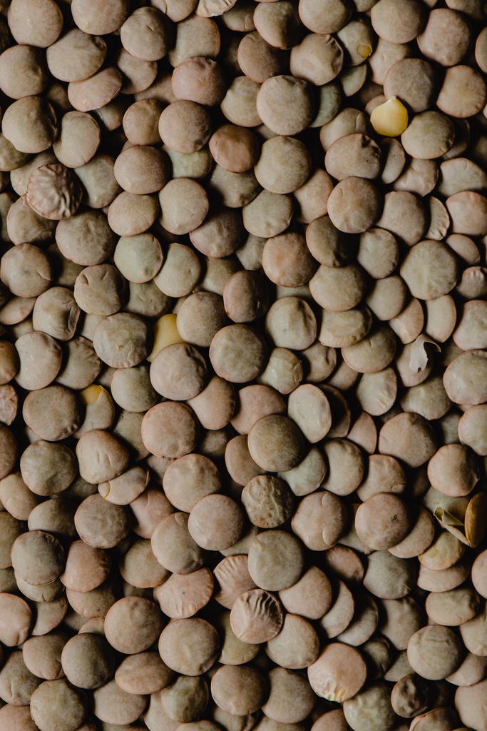 High-resolution close-up image showcasing the texture of dried brown lentils in natural light.